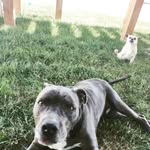 Elsa Wolfe Chase - @osawolfe - Instagram