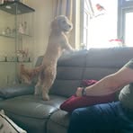 Elsa Yates - Facebook