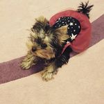 ElsaYork - @elsayork2864 - Instagram