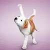 elsazamarronrodri - @elsazamarronrodri - TikTok