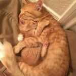 Mônâ Ëlsaÿéd Ëlfêkÿ - @monaelfeky010626 - Instagram