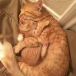 Mônâ Ëlsaÿéd Ëlfêkÿ - @sfhijhvhhb - Instagram
