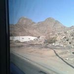 Elsayed Othman - @othmanelsayed - Instagram
