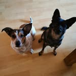 Bärbel Meier - @else.meier.142 - Instagram