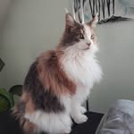 Else Meier - @else.meier - Instagram