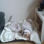 Else Marie Pedersen - @else.pedersen.52 - Instagram