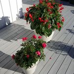 Else Pedersen - @els.epedersen - Instagram