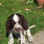 Else Pedersen - @pedersen_else - Instagram