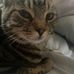 Ellie Abbott - Facebook