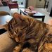 Elsie Ash - Facebook