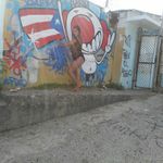 Elsie Ortiz Baez - @elsie37 - Instagram