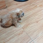 Elsie Bates - Facebook