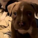 Everything Elsie Bates - @everything_elsiebates - Instagram