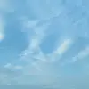elsie beardy - @elsie.beardy - TikTok