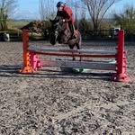 elsie bennett - @elsieequestrian2023 - Instagram