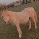 Elsie Boyd - @elsie.boyd100 - Instagram
