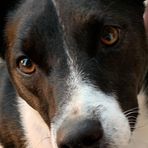 Elsie Boyd - Facebook