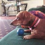 Elsie Diane Bragg Boyd - Facebook