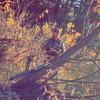 Eli Bragg - @eli.bragg - TikTok