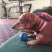 Elsie Diane Bragg Boyd - Facebook