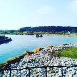 Elsie Carroll - @elsiecarroll665 - Instagram
