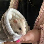 Erin Elsie Carroll - @nibbles1222 - Instagram