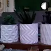 elsiefields486 - @elsiefields486 - TikTok