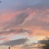 Ellie Forrest - @ellie.spamacc42 - TikTok