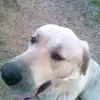 elsie - @elsiefoster936 - TikTok