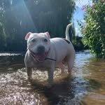 Elsie Foster - @elsie.foster.96592 - Instagram