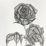 Elsie Fox - @elsiefox_arts - Instagram