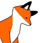 Elsie Fox - @elsieandthefox - Instagram
