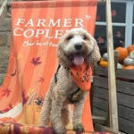 Elsie Fox-Wilsher - @the_adventures_of_elsiepoo - Instagram