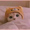 Elsie Garner - @elsiegarner3727 - TikTok