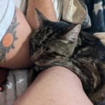 Elsie Gray - @elsiegray84 - Instagram