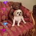 Elsie Gray - Facebook