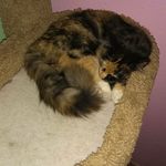 elsie gray morris - @morriselsiegray - Instagram