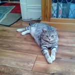 Elsie Green - @elsiegreen606 - Instagram