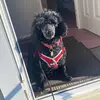 Elsie Grey Bone - @elsie.grey.bone - TikTok