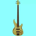 @elsiegreyonbass - Instagram