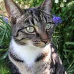Elsie Hall - @e.lsiehall - Instagram