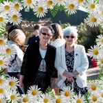 Elsie Hall - @elsie.hall.77 - Instagram
