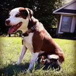 Elsie Handy Grimes - @elsiehandygrimes - Instagram
