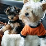 Ellie Hightower - Facebook