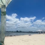 єℓѕιє - @elsie.hoffmann - Instagram