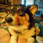 Elise Huffman - @elhuff1 - Instagram