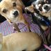 Elsie Huffman - Facebook