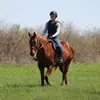 Elsie - @elsie.and.jackson - TikTok
