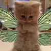 elsie - @elsiekeller - TikTok