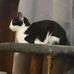 Elsie Kirkpatrick - Facebook